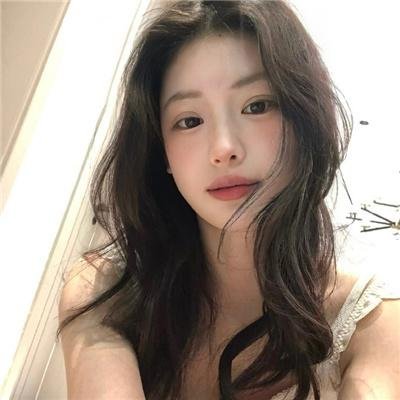 状元巧破蜜蜂计粤语